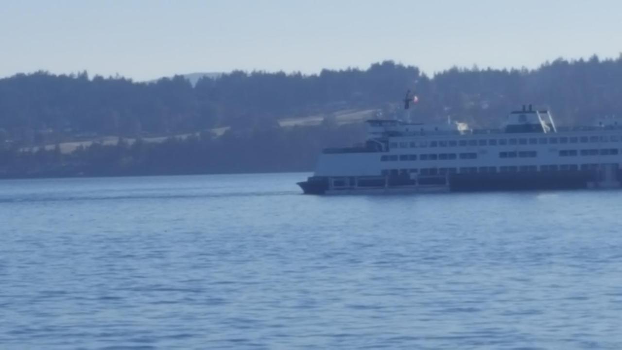 By The Sea Bnb, Sidney Victoria Bc Bagian luar foto