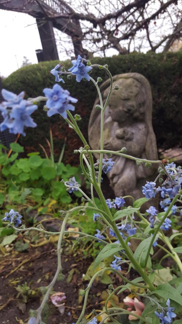By The Sea Bnb, Sidney Victoria Bc Bagian luar foto